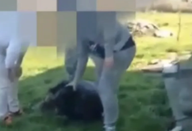 Članovi udruženja "Panter" pretukli Fahrudina koji je sjekirom navodno usmrtio psa?