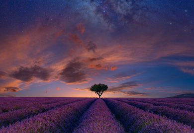 Lavanda za dobar san i rasterećen um
