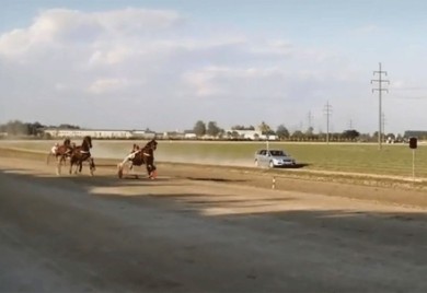 Najbolji konj Nikole Jokića u finišu izgubio trku za pehar VIDEO