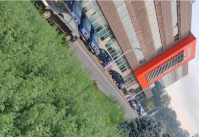 BANJA LUKA: Lisica se udomaćila i prošetala užim centrom grada