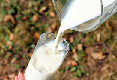 Nerealne cijene mlijeka, evo šta proizvođači upozoravaju