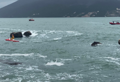 Potraga za dječakom iz Herceg Novog biće nastavljena sutra