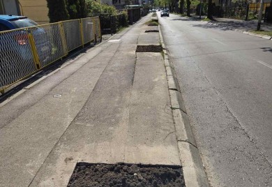 Uklonjen još jedan drvored: posječena stabla u banjalučkom naselju Nova varoš (VIDEO)