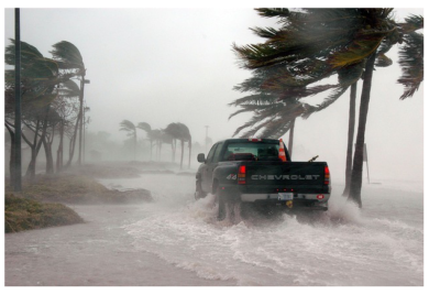 FLORIDA: Nakon uragana zabilježen porast zaraze bakterijom koja izjeda meso