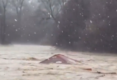 Veliko nevrijeme u Srbiji: Ibar nosi kuću (VIDEO)