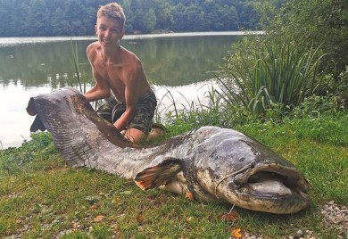 Dječak (13) upecao grdosiju od 2,5 metara i 90 kilograma