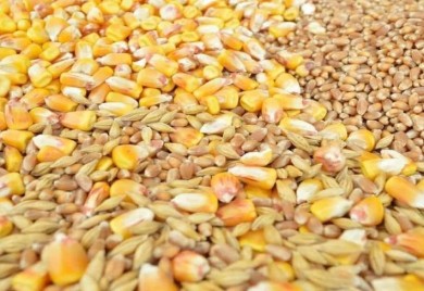 Suša uticala na poskupljenje živinarskih proizvoda za deset odsto