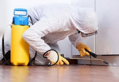 Počela jesenja deratizacija