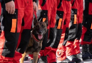 Kako je naša Tora postala najbolji pas tragač u turskim ruševinama