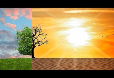 WWF: Moramo promijeniti način života da bismo zaustavili dalje zagrijavanje planete