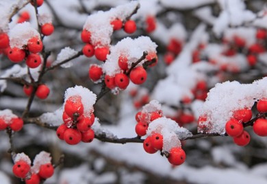 WINTER IS COMING: Danas počinje zima
