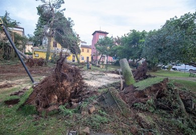 Oluja opustošila region: Razoreni dijelovi Srbije i Hrvatske (FOTO/VIDEO)