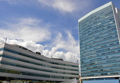 Novi poslanici u Parlamentu BiH