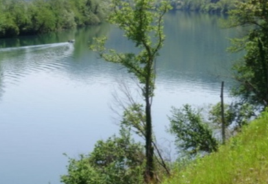 Uginule ribe plutaju Drinom