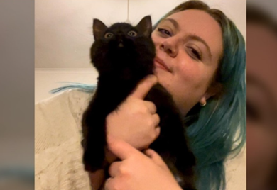 Potrošila 8.000 evra kod veterinara: Saznala da joj je mačka samo čudna