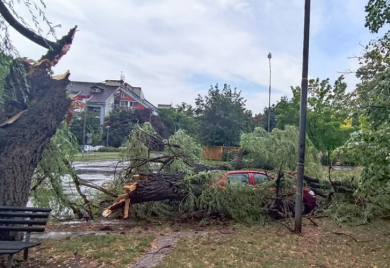 Na snazi žuti meteoalarm: Očekuju se udari vjetra do 55 kilometara na čas