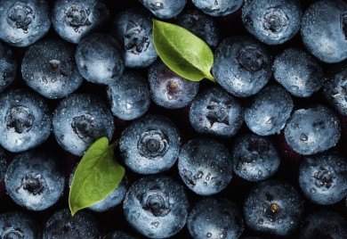 Berba borovnice kasni, cijena 20 KM za kilogram