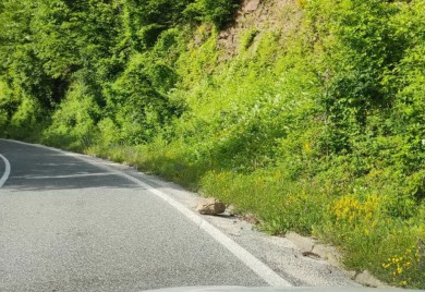 Magistralni put Banjaluka - Teslić zarastao u šiblje