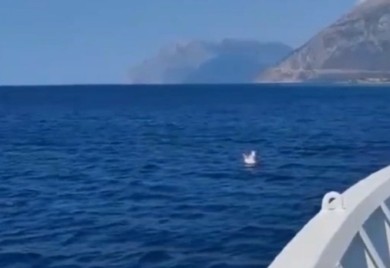 Dvogodišnjeg dječaka iz Srbije morska struja odnijela dva kilometra od obale (VIDEO)