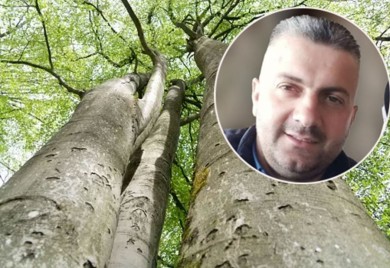 Detalji pogibije šumara: Bukva usmrtila oca dvoje djece