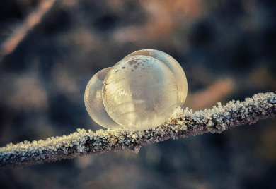 Objavljena detaljna prognoza od decembra do maja: Ovakvoj zimi se niste nadali