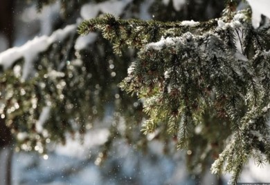 Snijeg napokon prestao padati: Danas razvedravanje, na jugu sunčano