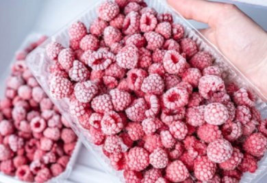 Neprodato voća iz prošle berbe: Hladnjače u regionu pune neprodatih malina