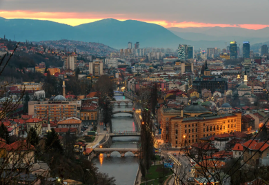 Inspekcija provodi pojačan nadzor zbog najezde žohara