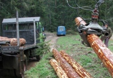 Za samo godinu dana: “Šume Srpske” u minusu od pet miliona maraka