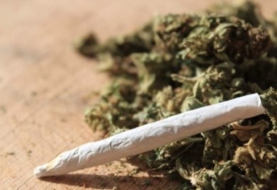 U pretresu pronađena marihuana