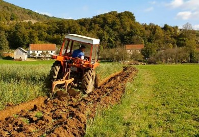 Gradska uprava: Poziv poljoprivrednim proizvođačima da se prijave za podsticaje