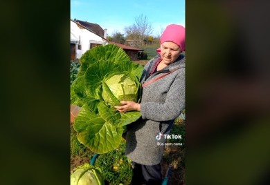 Domaćica preko noći postala hit na internetu (VIDEO)