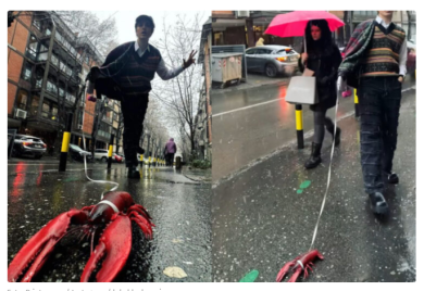 Popularni pjevač napravio pometnju u centru Beograda: Umjesto psa, šetao mrtvog jastoga (FOTO/VIDEO)