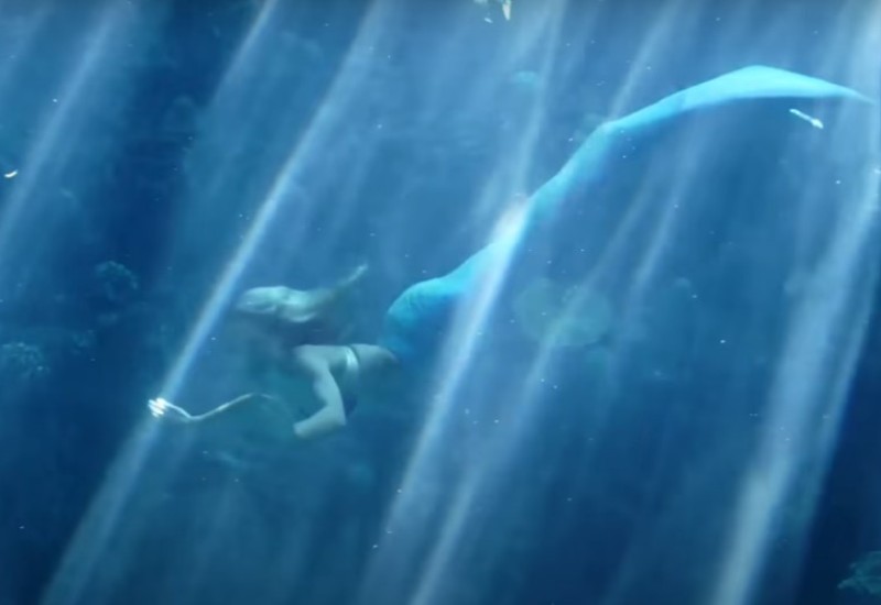 Snimak iz akvarijuma potresao milione: Sirena mahala publici, a onda je uslijedio jeziv napad (VIDEO)