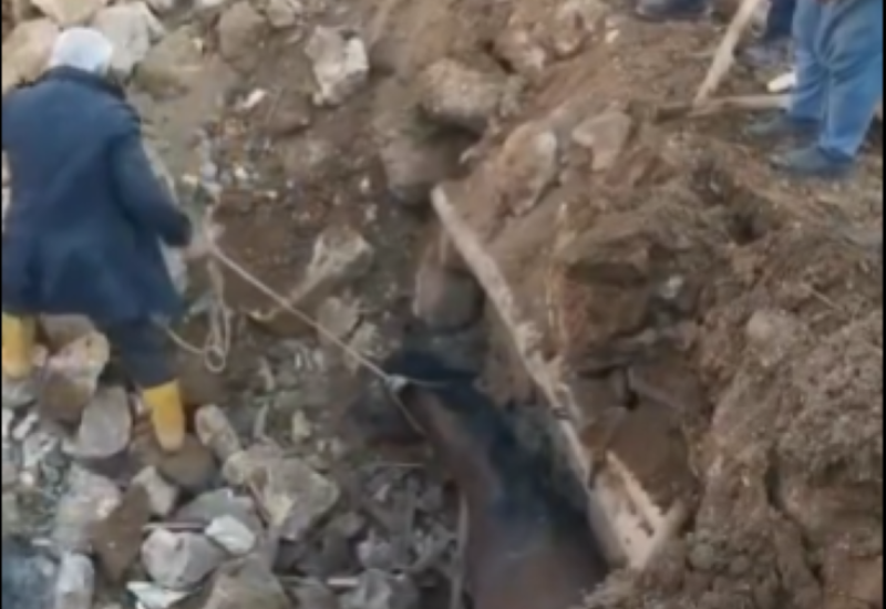 Čudo u Turskoj: Živ konj izvučen iz ruševina tri nedjelje poslije zemljotresa (VIDEO)