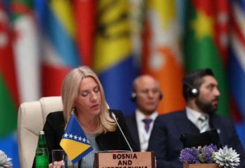 CVIJANOVIĆ: Svijetu potrebna reafirmacija principa miroljubive koegzistencije