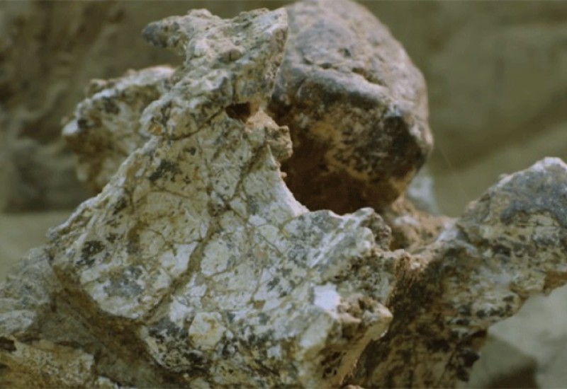 KINA: U Kini otkrivena ljudska lobanja stara milion godina