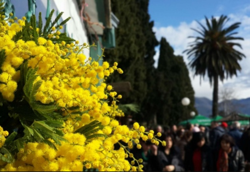 “Praznik mimoze”: Pregovori za letove iz Banjaluke