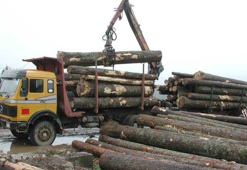 Slijede smjene u šumskim gazdinstvima u Srpskoj koja su negativno poslovala