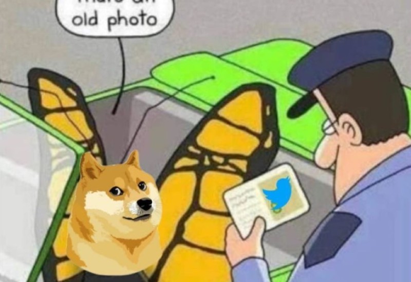 Tviter ima novi logo: Ilon Mask plavu pticu zamijenio fotografijom popularnog memea