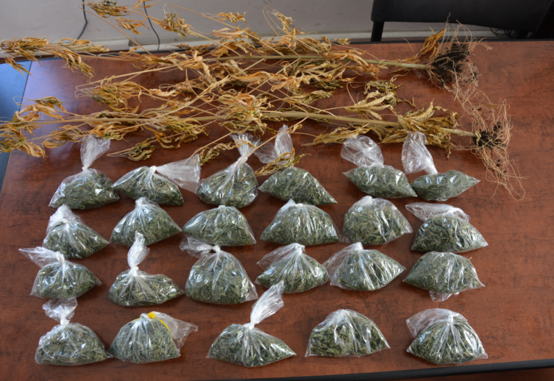 Pretresi u Prijedoru, oduzeta marihuana