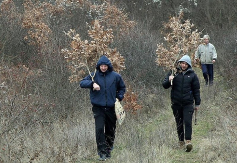 SPC sutra slavi Badnji dan: Ovo su vjerovanja i običaji