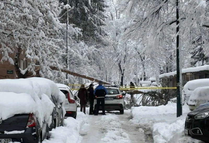 Tragedija u Sarajevu: stablo bora palo na ženu, preminula u bolnici