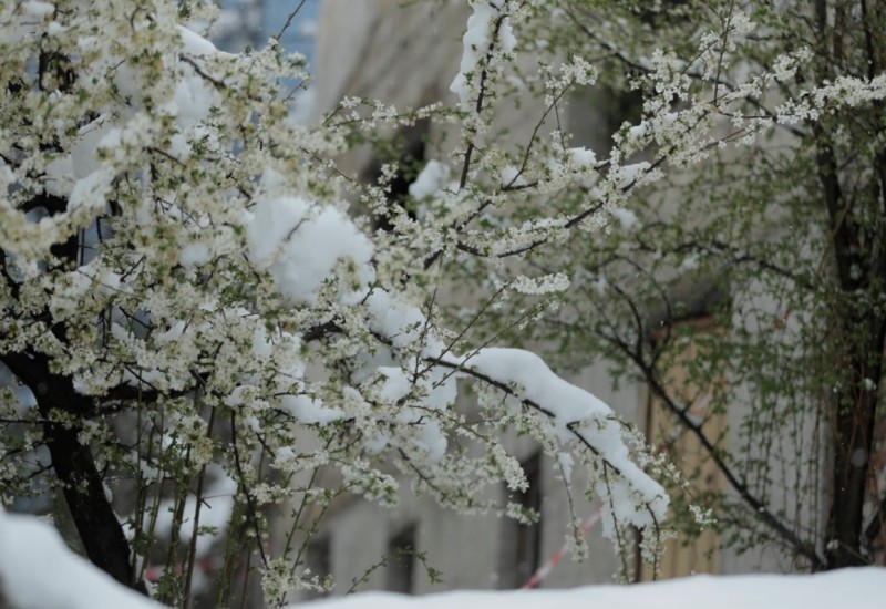 Topao Božić, hladan Uskrs: Meterolog objašnjava otkud snijeg u aprilu