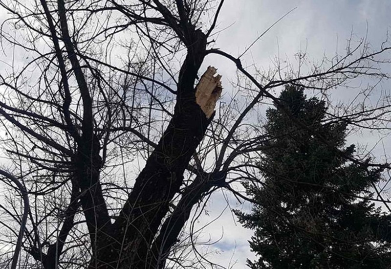 Oluja u Kruševcu lomila grane i skidala crijepove (VIDEO)