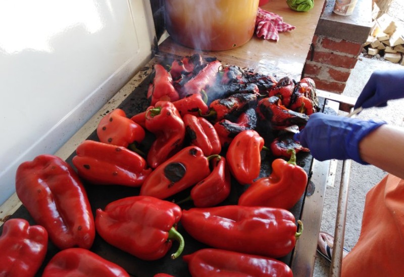 Povrtari zadovoljni prinosom paprika, ali nedovoljno ambalaže za zimnicu
