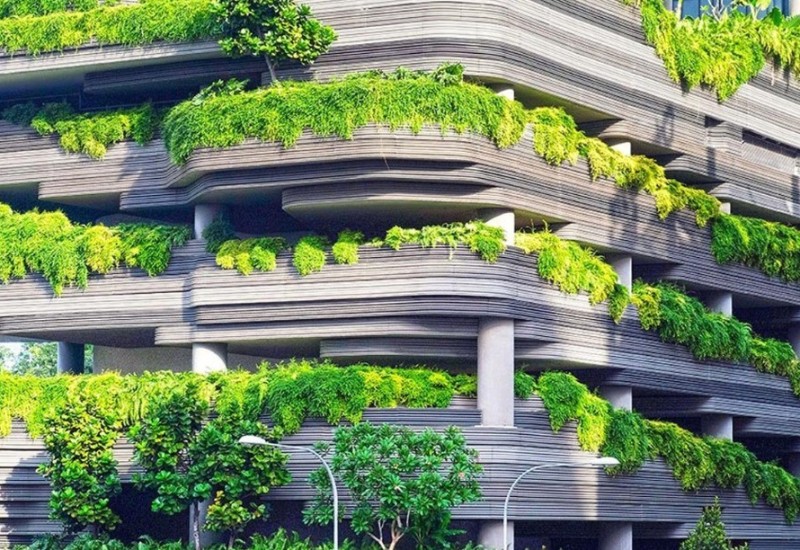 Arapi napravili najveću farmu usred pustinje, menadžer proizvodnje iz Banjaluke (VIDEO)