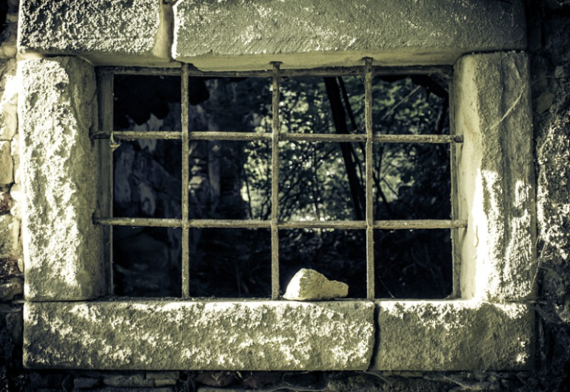 Predragu Petkoviću određen jednomjesečni pritvor