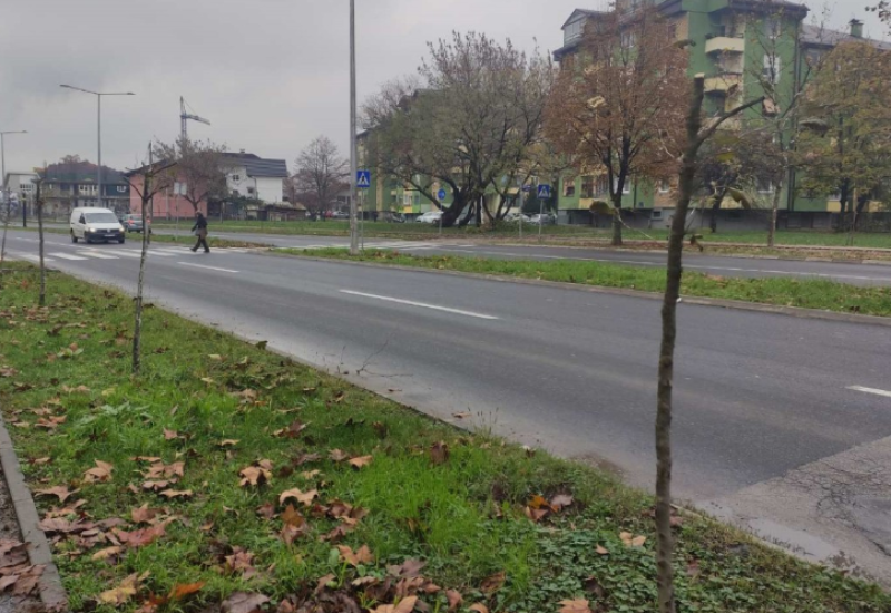 Polomljeno 40 mladih sadnica na Istočnom tranzitu