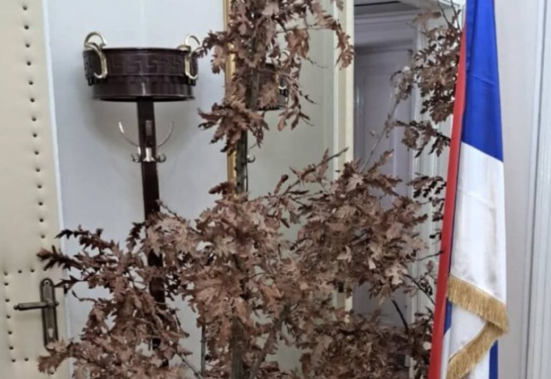 TRADICIONALNO Unesen badnjak u kabinet srpskog člana Predsjedništva BiH